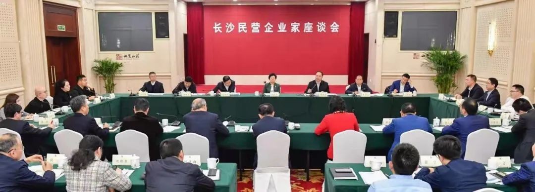 何清华参加长沙民营企业家座谈会