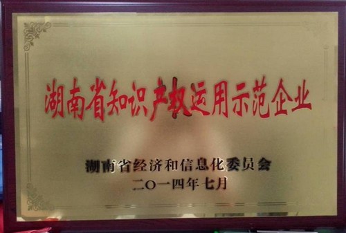 湖南省知识产权运用示范企业2014.7